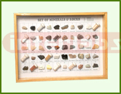 Minerals & Rocks in Show Case